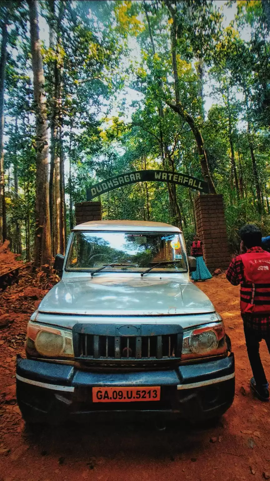 Photo of Dudhsagar trails