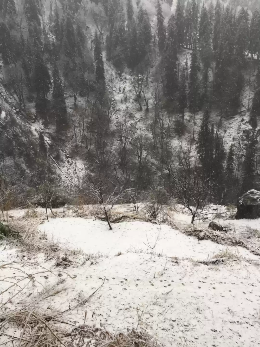 Photo of A year started with 