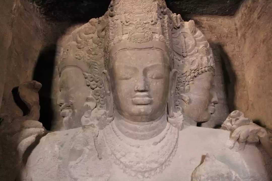 Photo of No Elephants at Elep