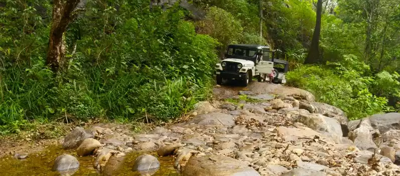 Photo of Reasons for you to v