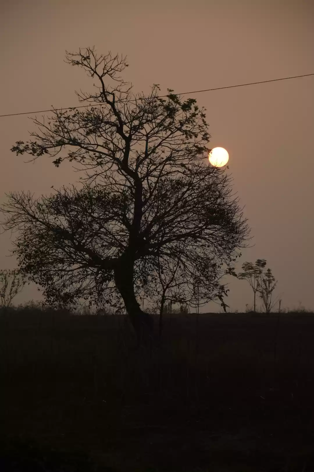 Photo of dayout in Kabini 