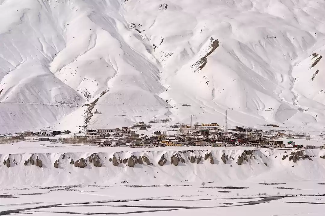 Photo of In the Realm of the 