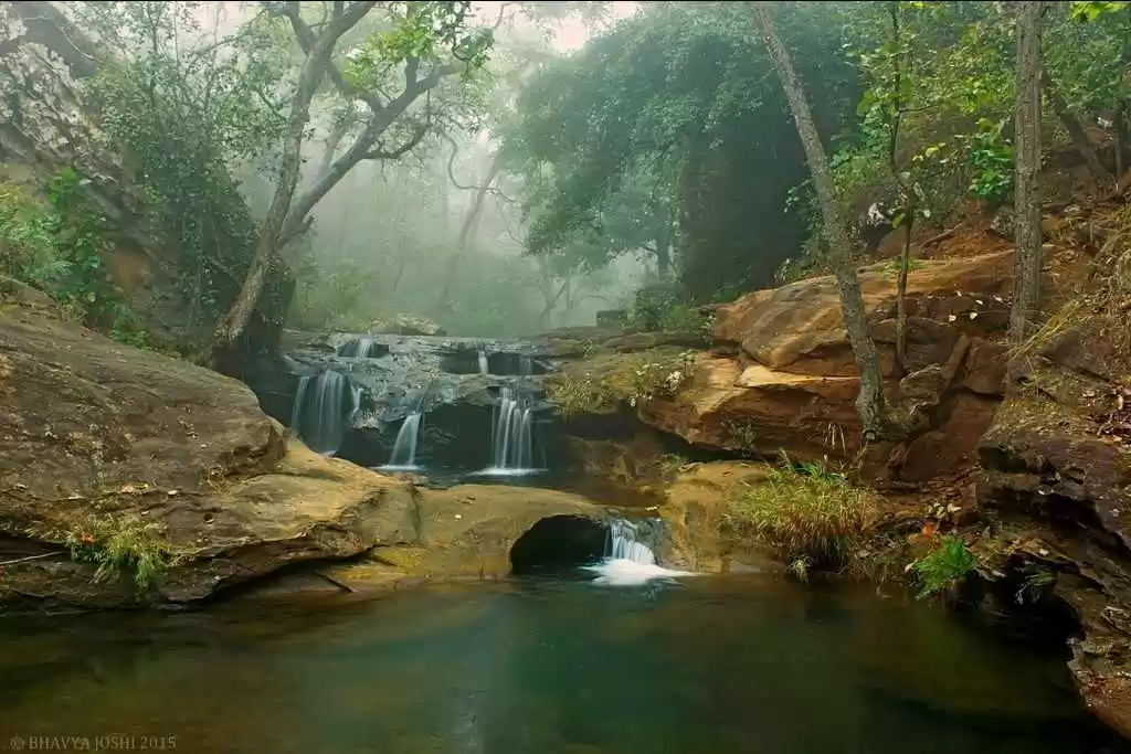 Photo of Wild Panchmarhi