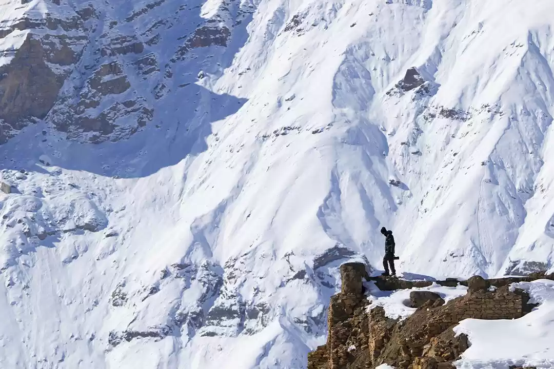 Photo of SNOW LEOPARD VILLAGE
