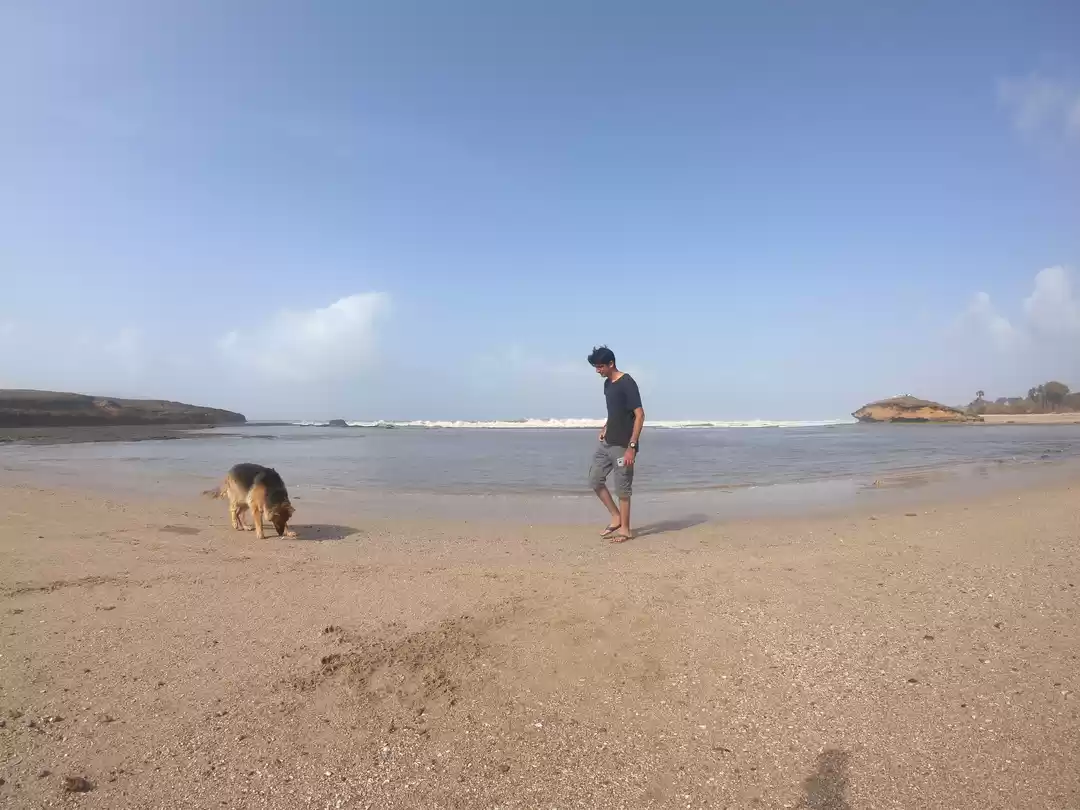 Photo of Paw-prints on beache