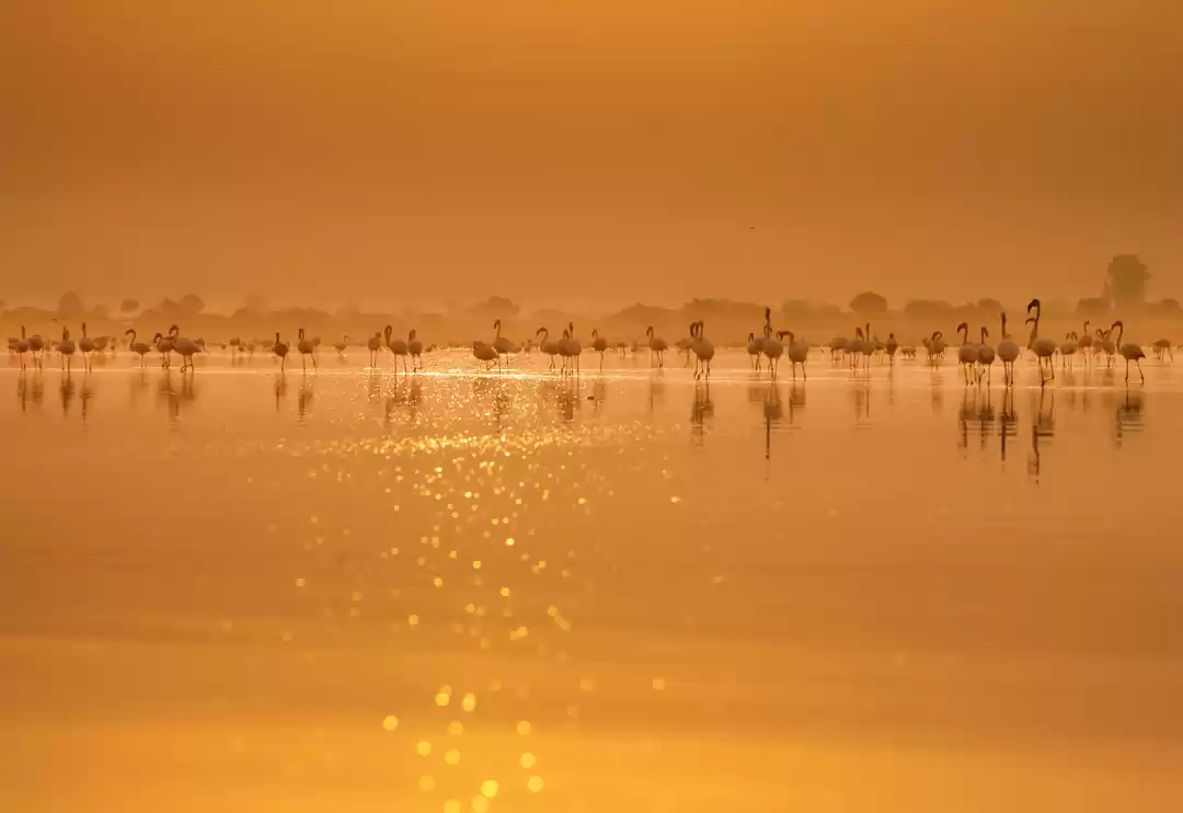 Photo of Boating and Birding