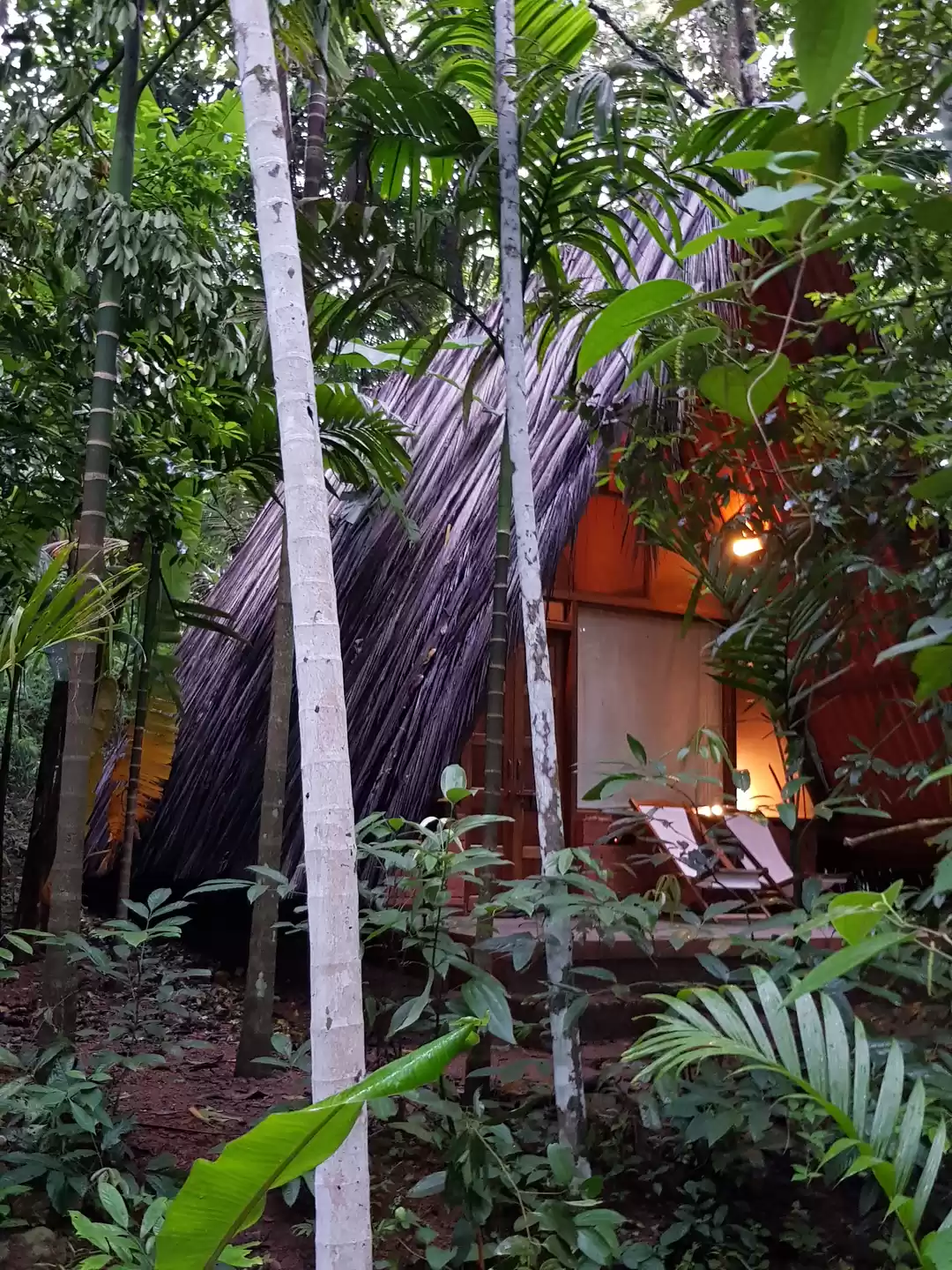 Photo of Maachli - A unique e