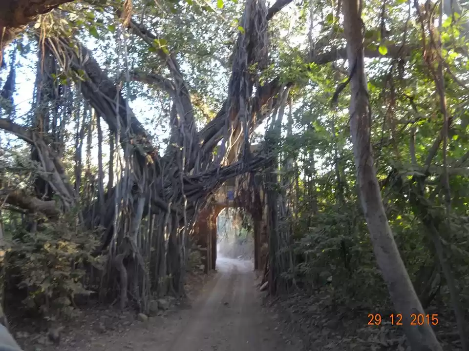 Photo of Ranthambore National