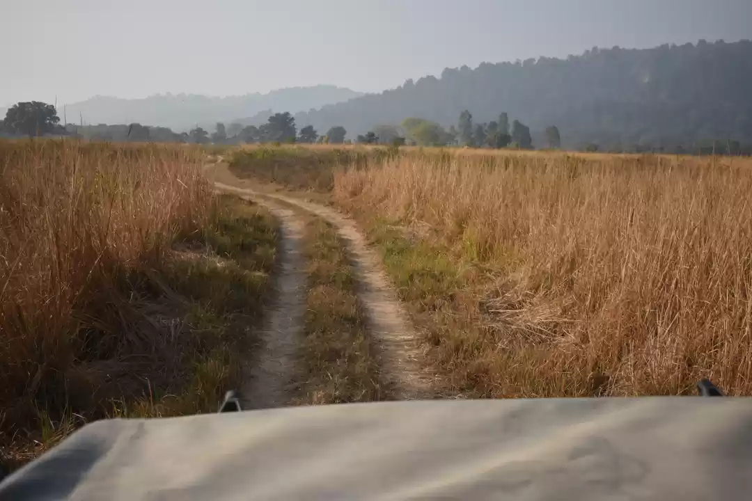 Photo of Jim Corbett-Encounte