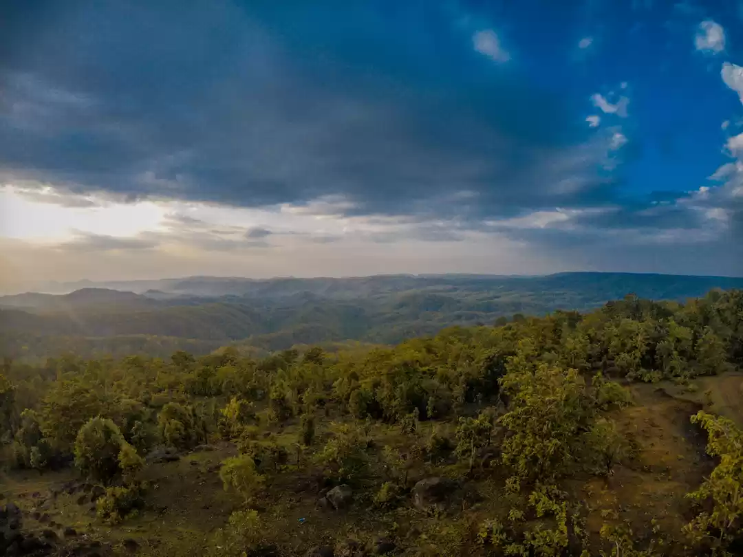 Photo of The land of Forests 