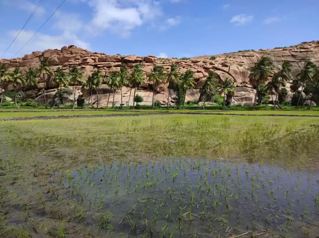 Photo of How did I happen to 