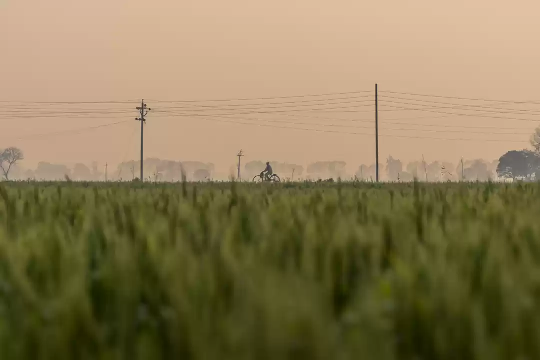 Photo of My Village in my Mem