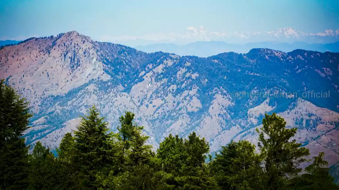 Photo of Journey To Shimla wi