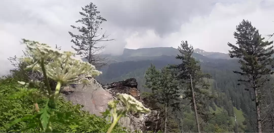 Photo of Hike From Vashist ti