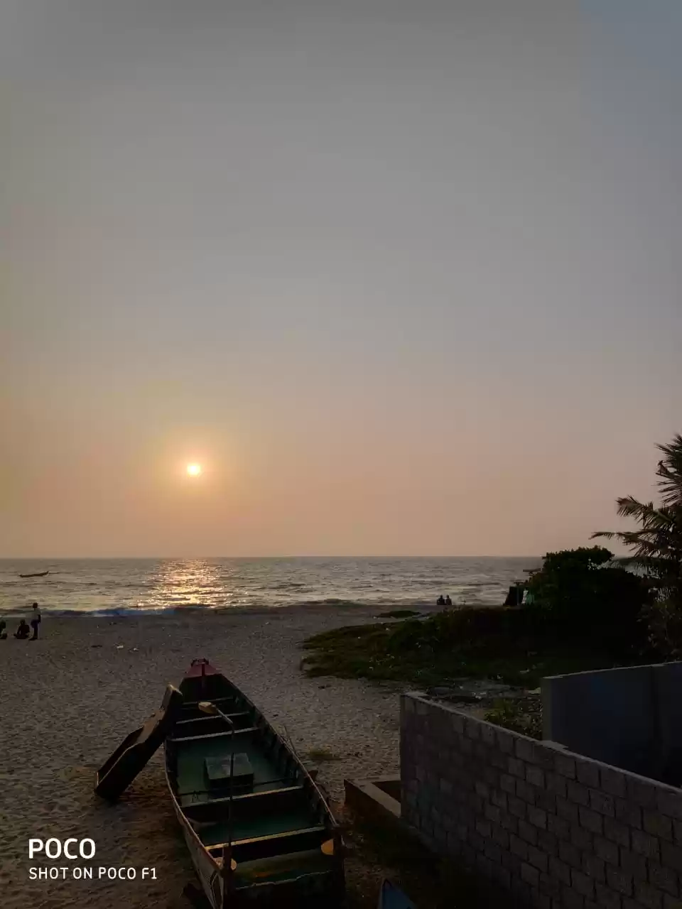 Photo of "Alleppey" fell in l