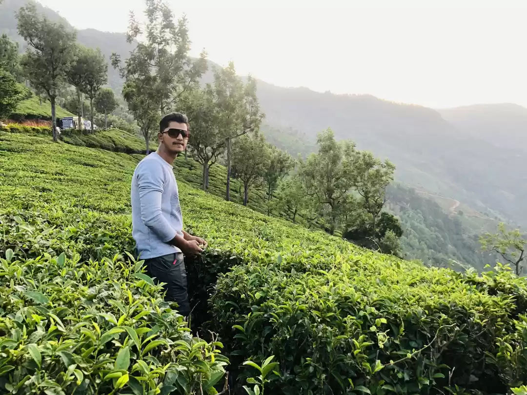 Photo of All time favourite p