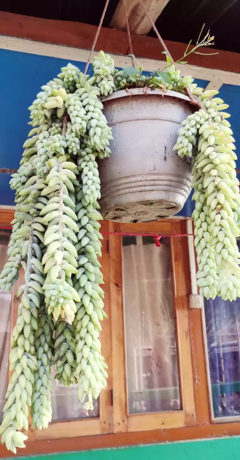 Photo of A beautiful chilled 