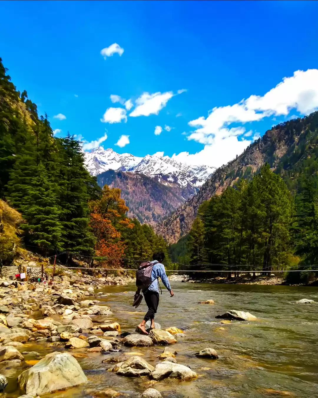 Photo of Through the Himalaya