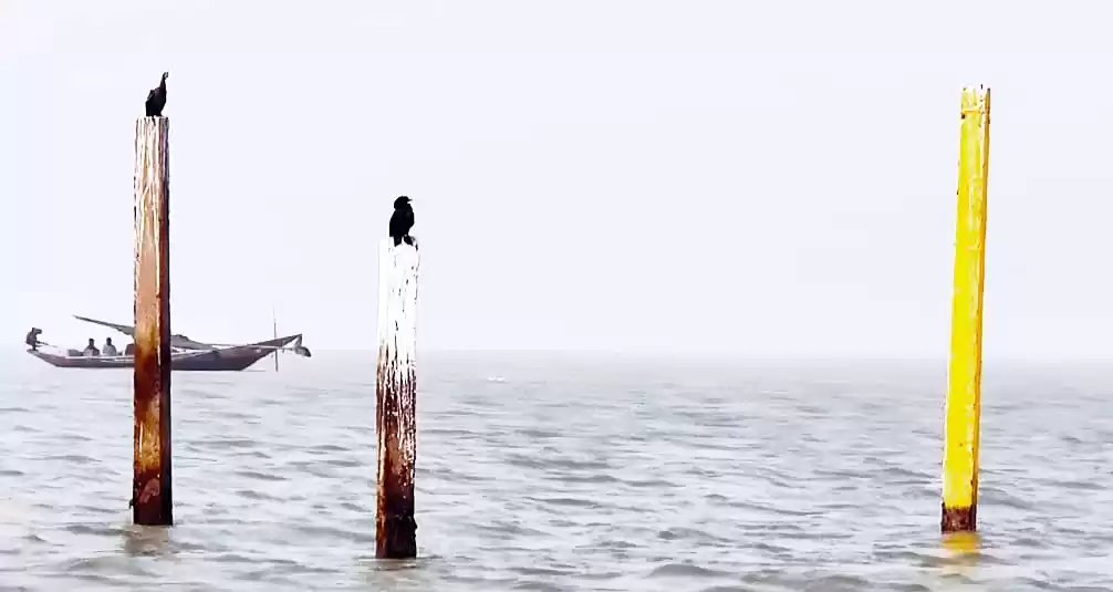 Photo of Chillika-The Winter 