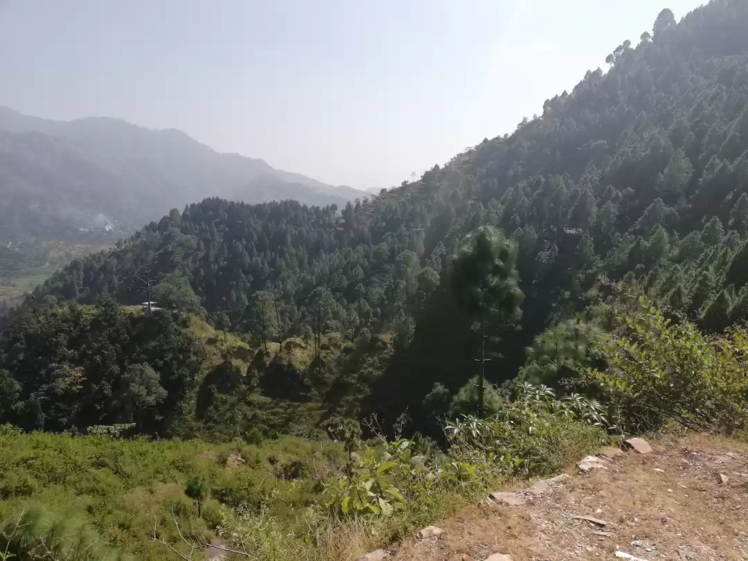 Photo of Lansdowne: My awake