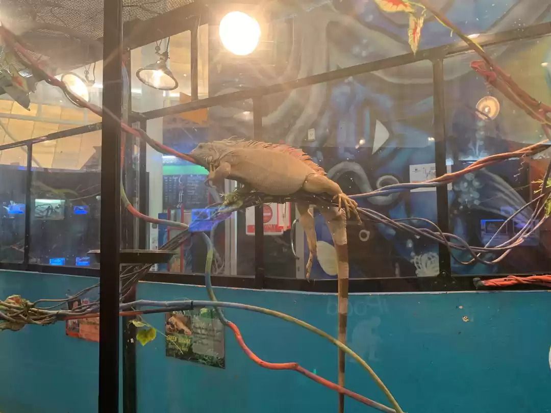 Photo of Nightlife & adventur