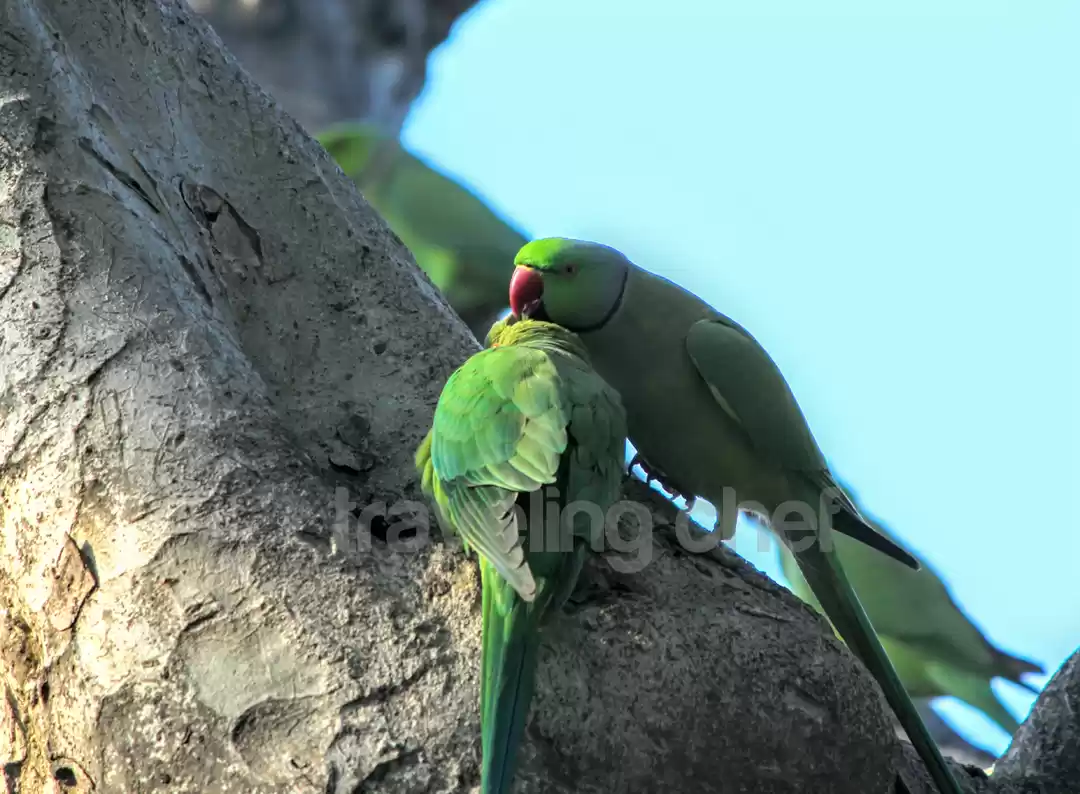 Photo of A peaceful trip to m