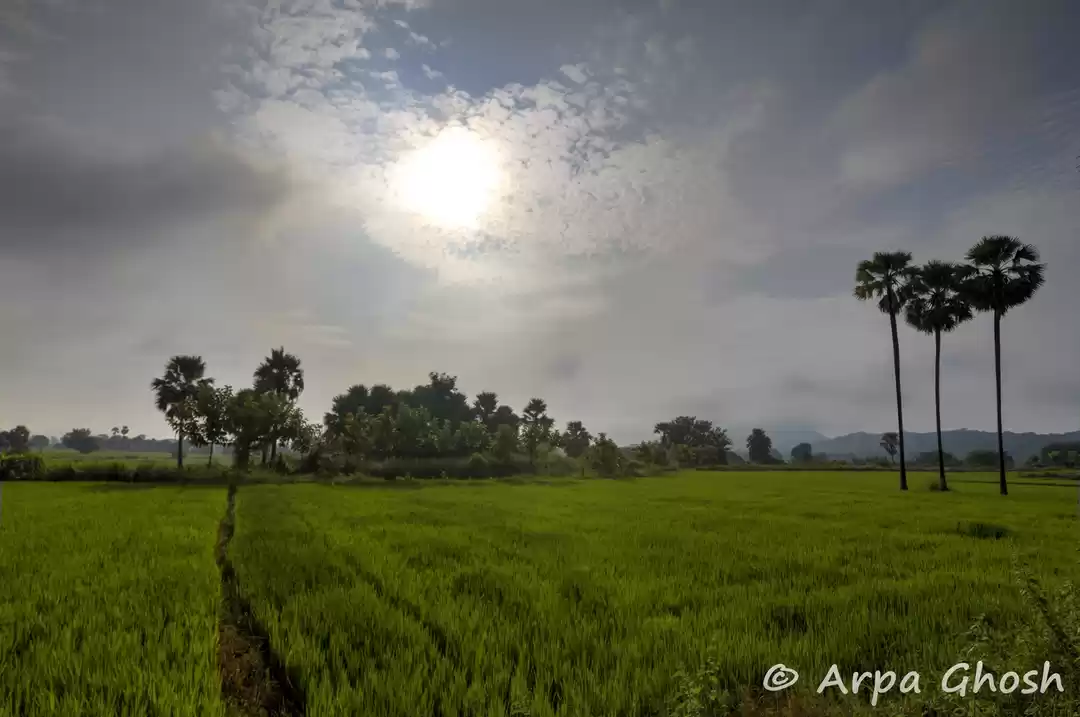Photo of Warangal ~ the Land 