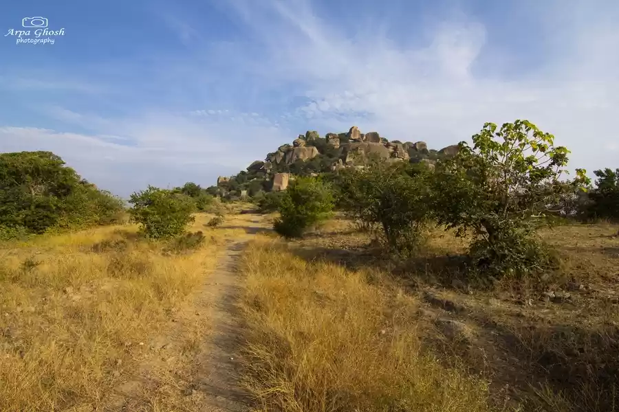 Photo of Rachakonda Fort - A