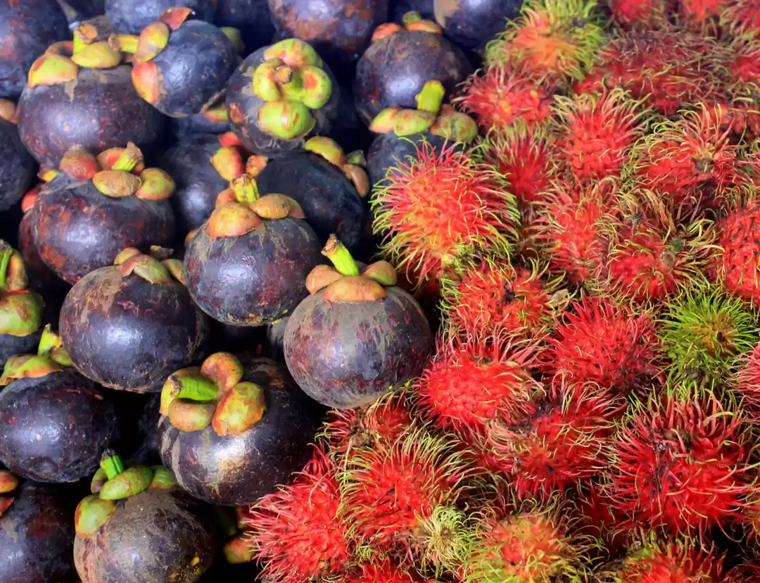 Photo of Bangkok Things to Do