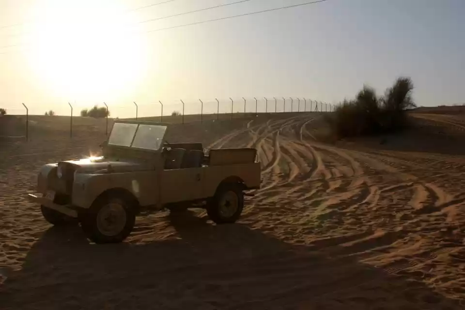 Photo of Wild Dubai