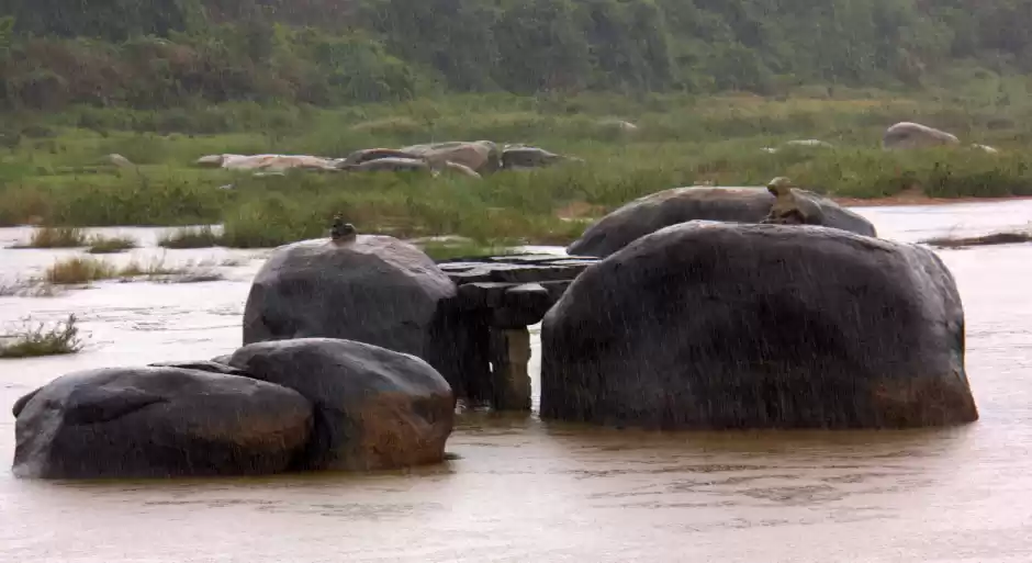 Photo of Boulders and Bananas