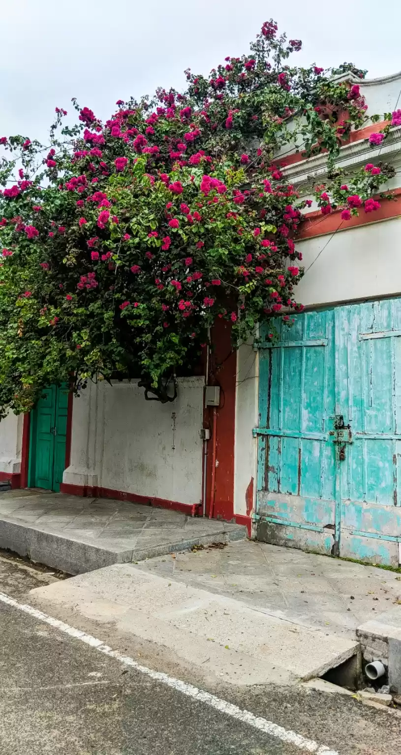 Photo of Pondicherry - The Go