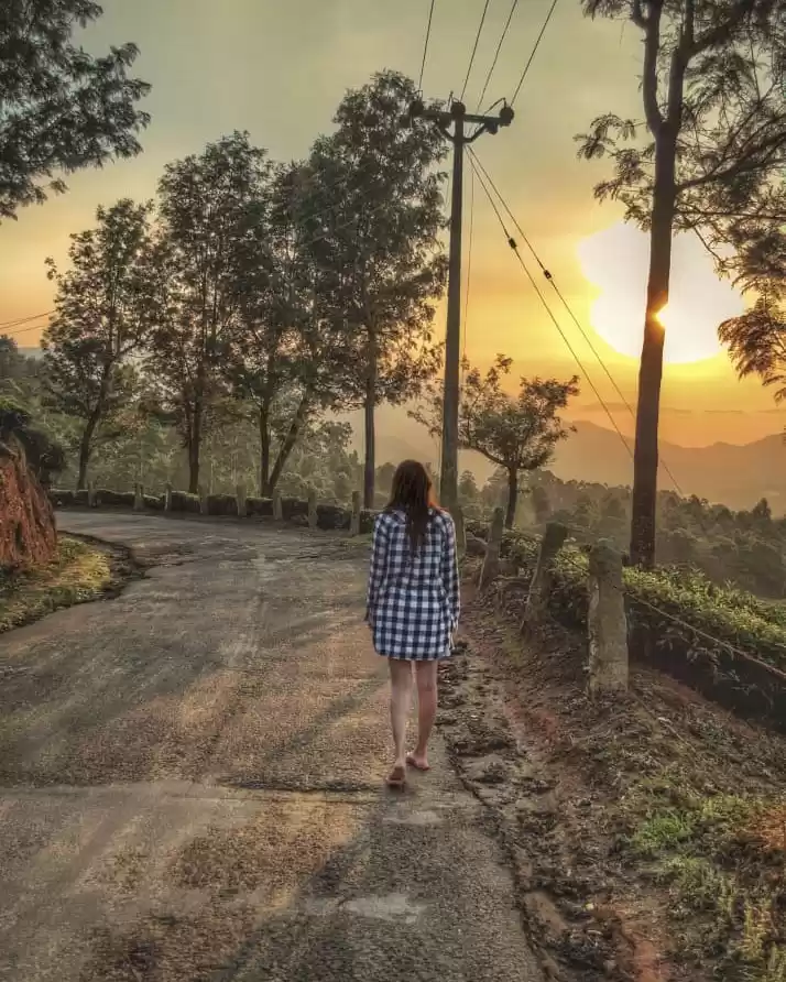 Photo of Enchanting Munnar