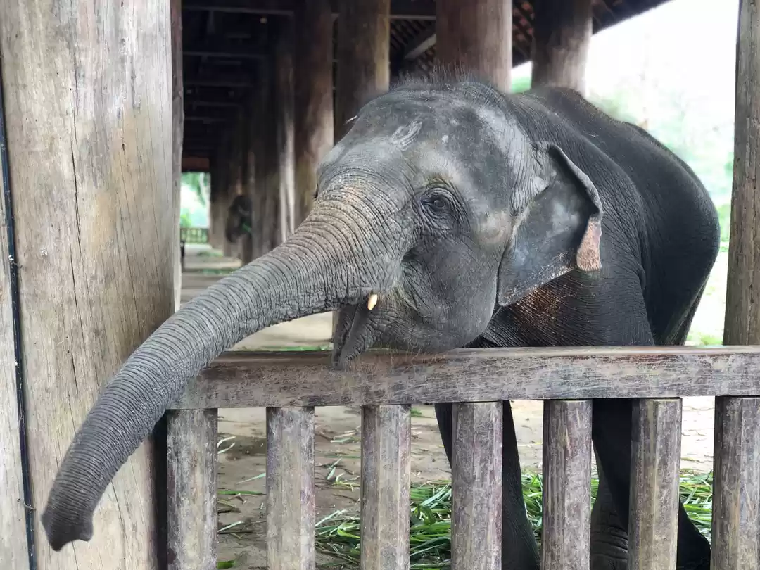 Photo of Budget Trip To Laos