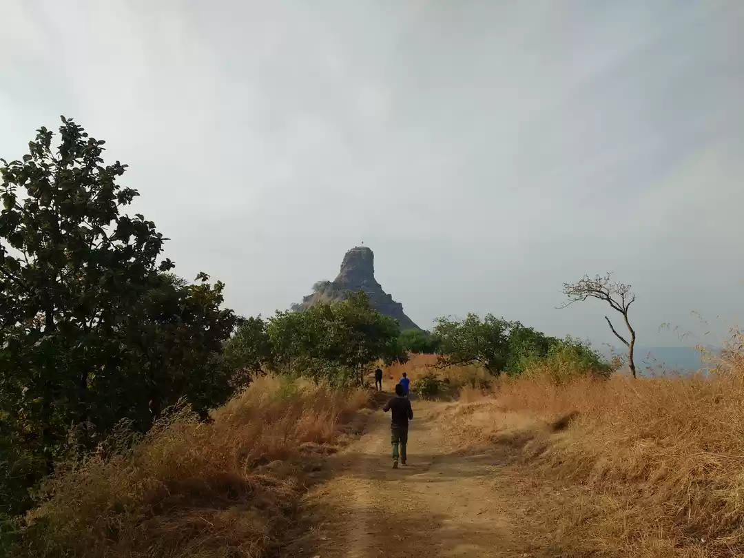 Photo of Biking excursion to 