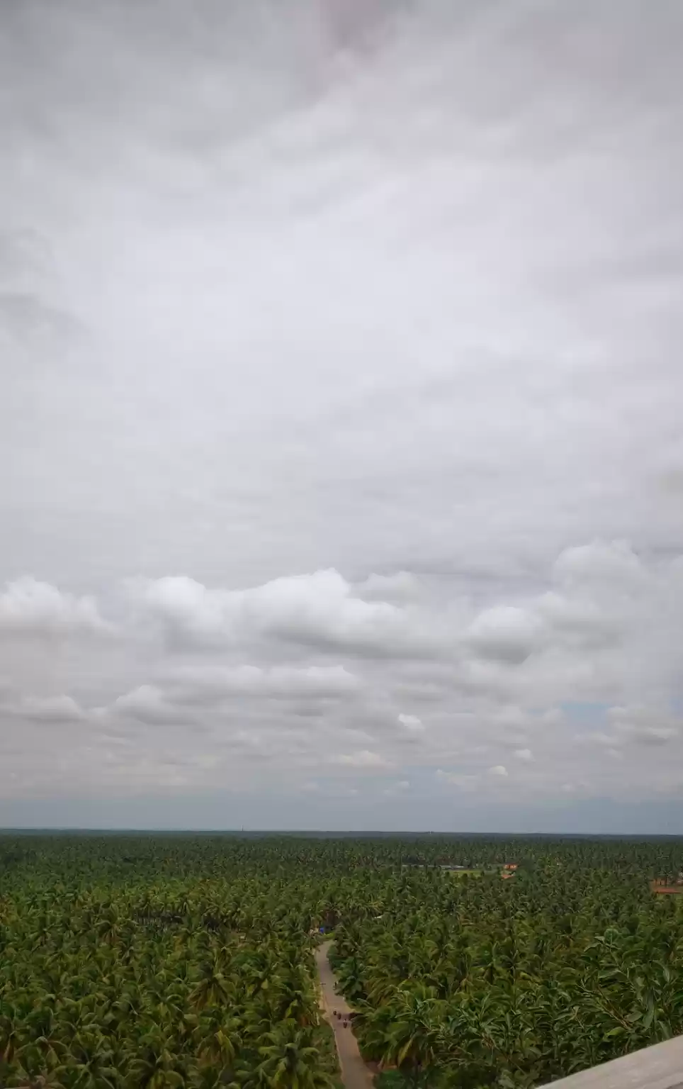 Photo of Beauty called Pollac