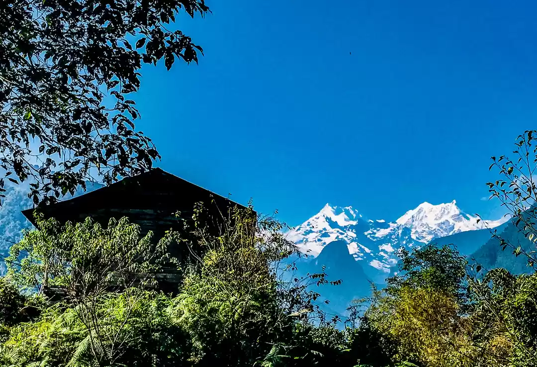Photo of Dzongu - The Himalay