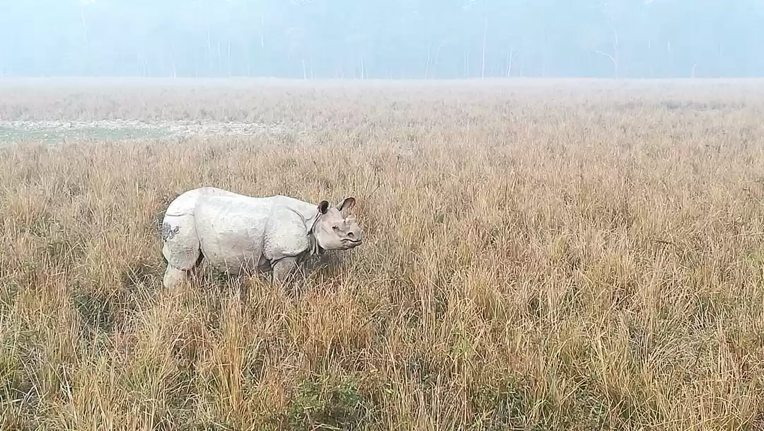 Photo of A meet with the sing