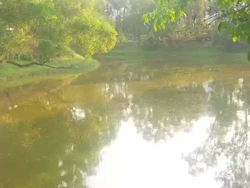 Photo of Getting Away from Ko