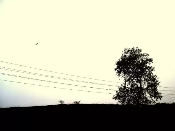 Photo of The abode of peace