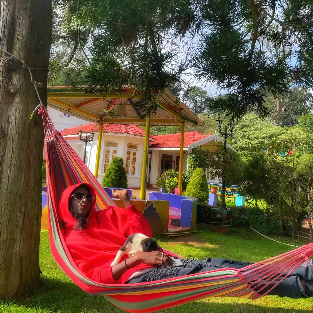 Photo of All about that warm