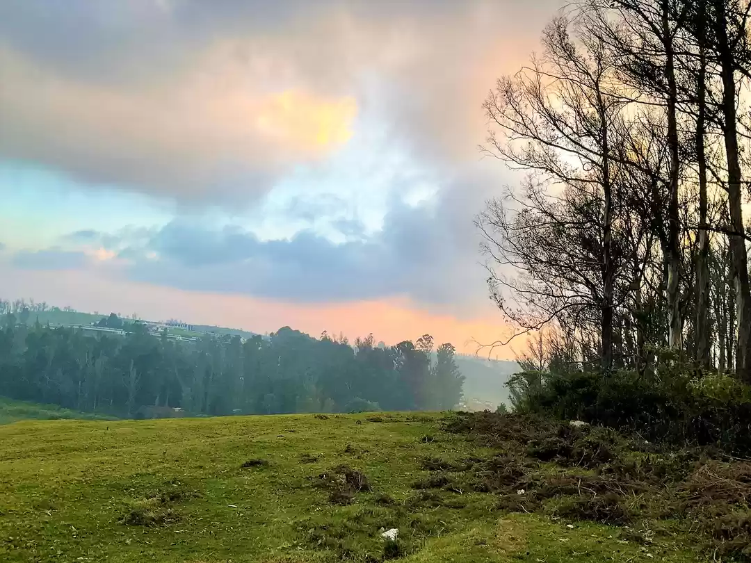 Photo of Two romantic yet spo