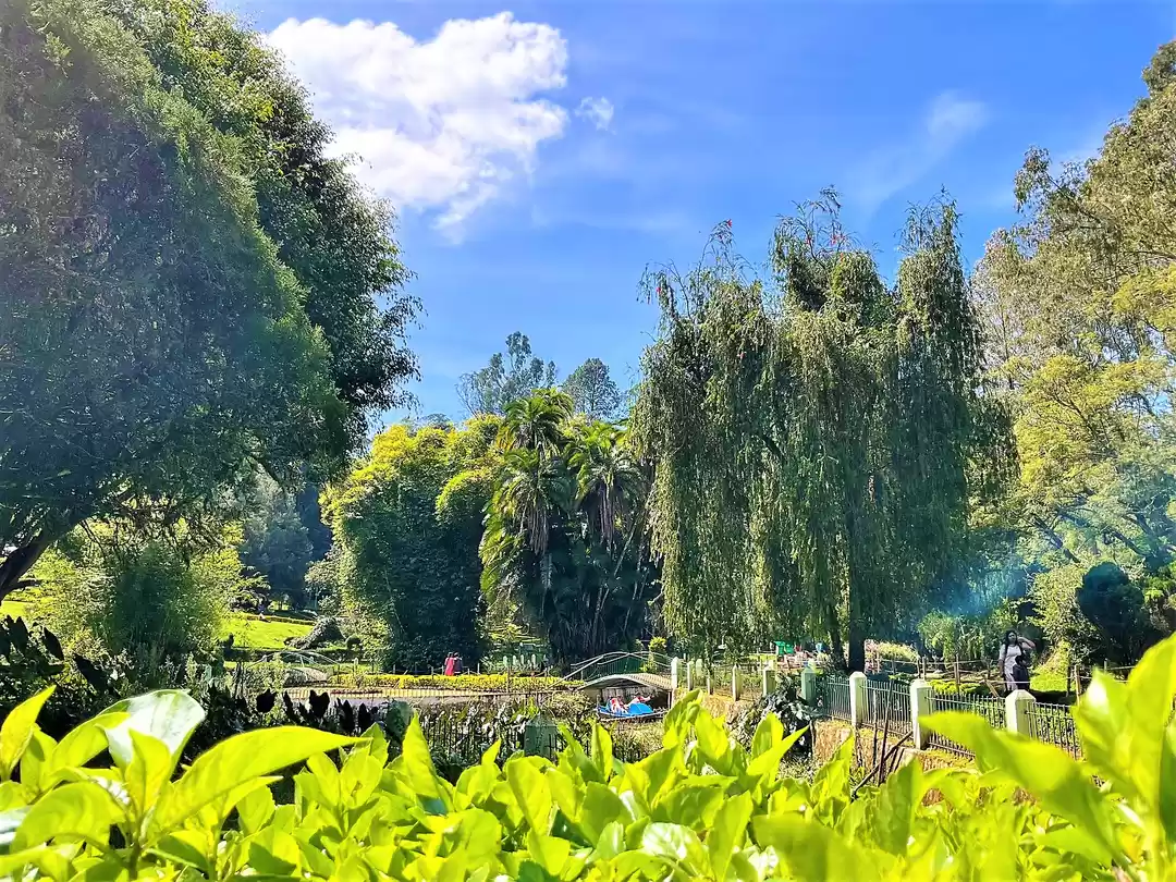 Photo of That's how I explore