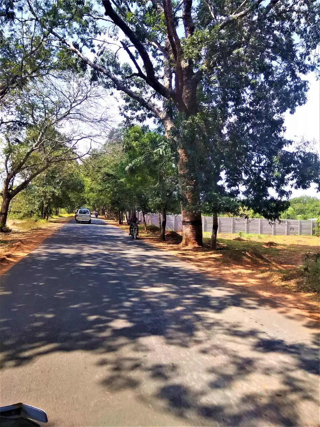 Photo of Exploring Pondicherr