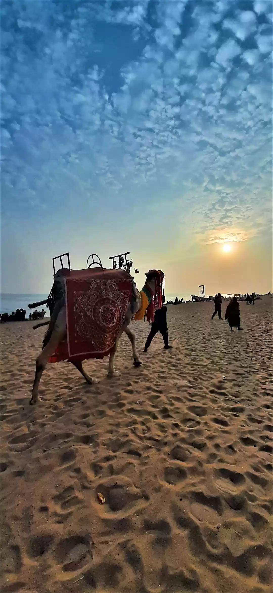 Photo of The gorgeous golden