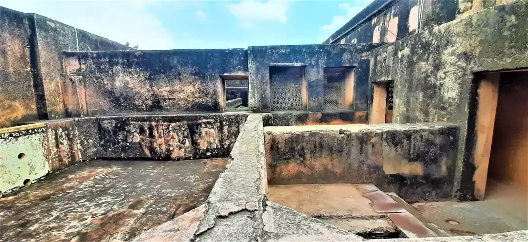 Photo of You may wander off i