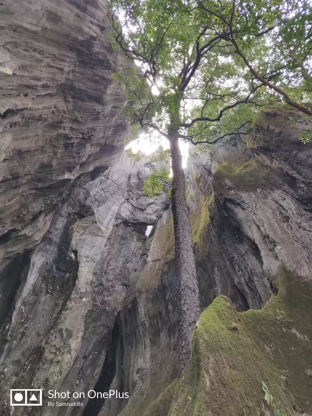 Photo of To retain an old me