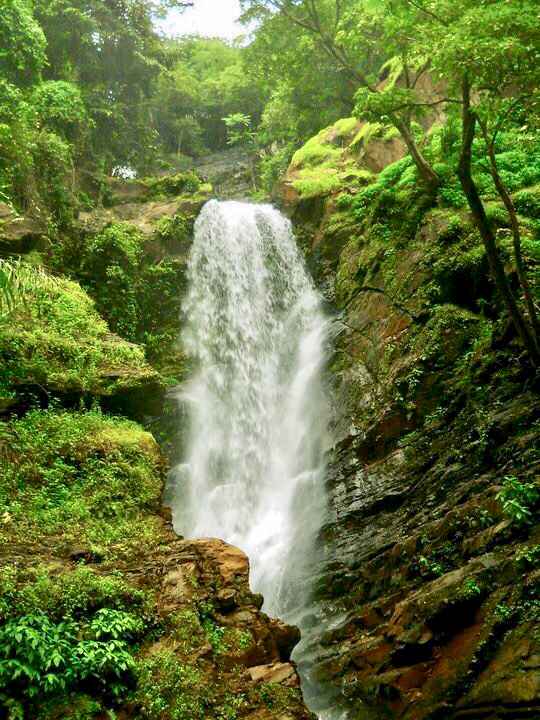 The Magical Netravali Offbeatgoa Tripoto Netravali waterfall also known as savri waterfall is located in netravali taluka of south goa. the magical netravali offbeatgoa tripoto