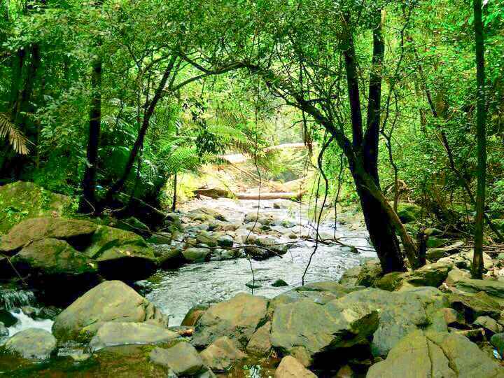 The Magical Netravali Offbeatgoa Tripoto Mainapi waterfall is one of the most adventurous waterfalls in the goa. the magical netravali offbeatgoa tripoto