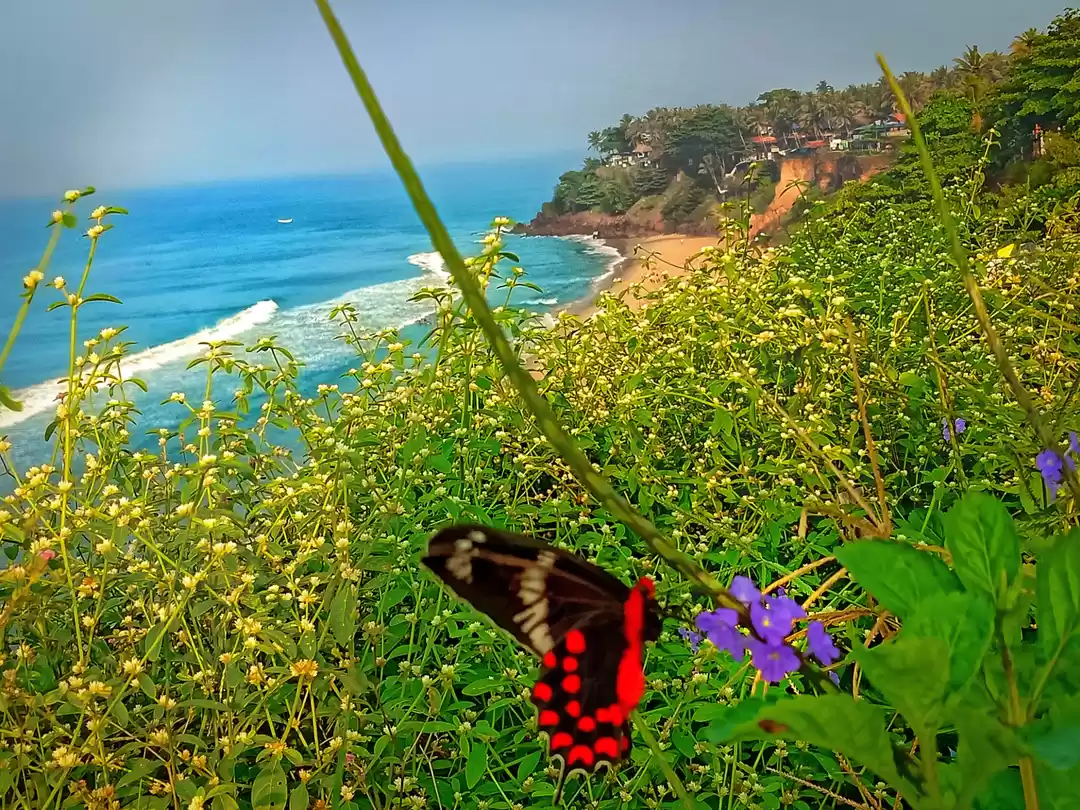 Photo of One day trip to vark